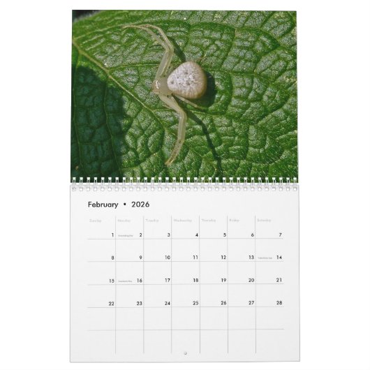 Agenda - EEK! Een spin. Kalender (Feb 2026)