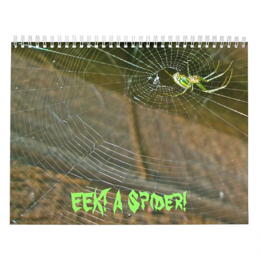 Agenda - EEK! Een spin. Kalender (Hoes)