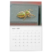 Agenda - EEK! Een spin. Kalender (Mar 2027)