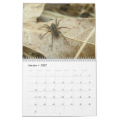 Agenda - EEK! Een spin. Kalender (Jan 2027)
