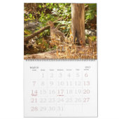 Agenda - Favoriete vogels Kalender (Mar 2027)