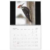 Agenda - Favoriete vogels Kalender (Jan 2027)