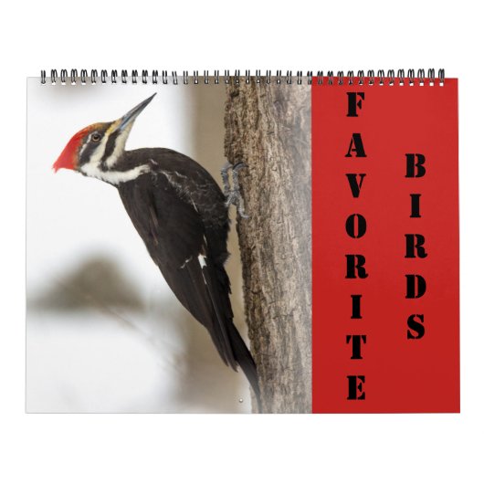 Agenda - Favoriete vogels Kalender (Hoes)