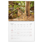 Agenda - Favoriete vogels Kalender (Mar 2026)