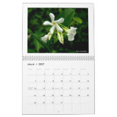 Agenda: Fijne Natuur Kalender (Mar 2027)