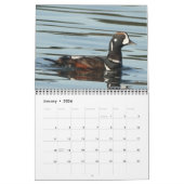 Agenda - Foto's van Noord-Amerikaanse vogels Kalender (Jan 2026)