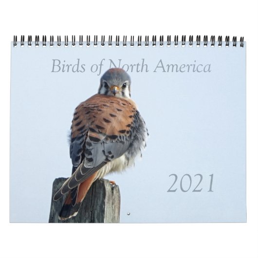 Agenda - Foto's van Noord-Amerikaanse vogels Kalender (Hoes)