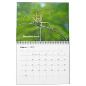 Agenda - Geen respect voor bugs Kalender (Feb 2027)