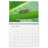 Agenda - Geen respect voor bugs Kalender (Jan 2027)