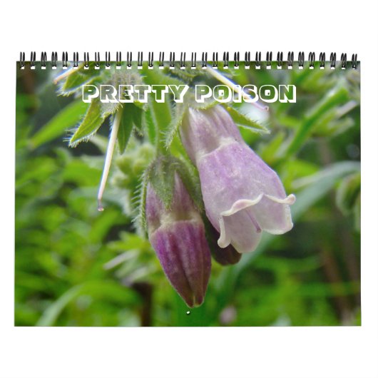 Agenda -  gif kalender (Hoes)