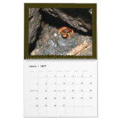 Agenda grove kalender (Mar 2027)