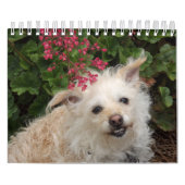 Agenda Gwendolyn 2015 Kalender (Hoes)