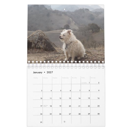 Agenda Gwendolyn 2015 Kalender (Jan 2027)