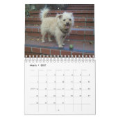 Agenda Gwendolyn 2015 Kalender (Mar 2027)