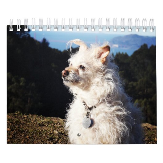 Agenda Gwendolyn 2016 Kalender (Hoes)