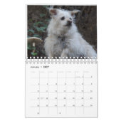 Agenda Gwendolyn 2016 Kalender (Jan 2027)