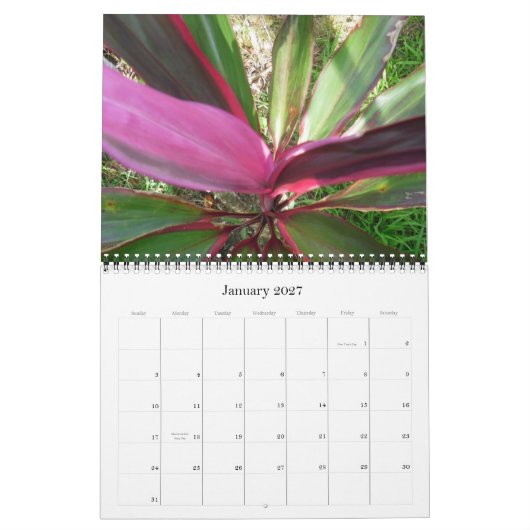 Agenda Hawaii 2010 Kalender (Jan 2027)