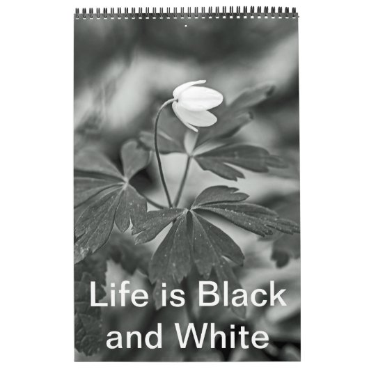 Agenda - Het leven is zwart en wit Kalender (Hoes)