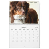 Agenda honden 2011 kalender (Feb 2026)