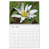 Agenda ~ Hou je van bugs? Kalender (Mar 2026)