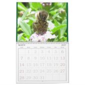 Agenda - Insecten Kalender (Mar 2027)