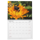 Agenda - Insecten Kalender (Feb 2027)
