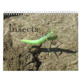 Agenda - Insecten Kalender