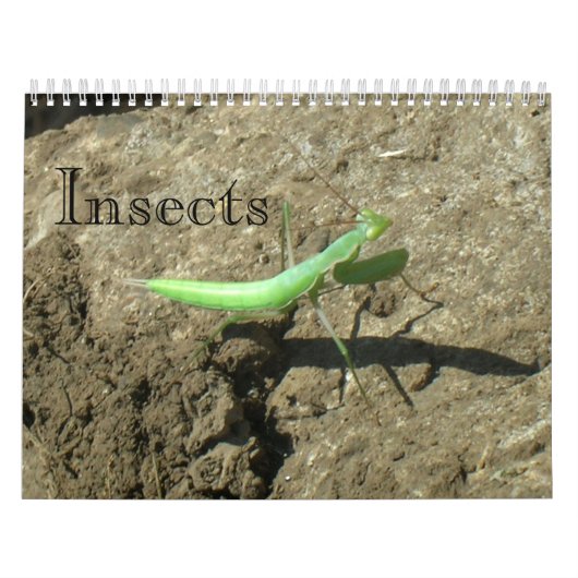 Agenda - Insecten Kalender (Hoes)