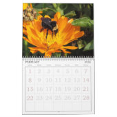 Agenda - Insecten Kalender (Feb 2026)