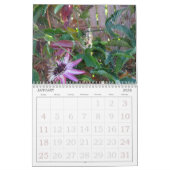 Agenda - Insecten Kalender (Jan 2026)