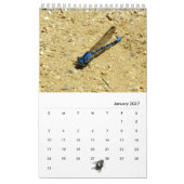 Agenda - Insecten met vliegen Kalender (Jan 2027)