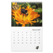 Agenda - Insecten met vliegen Kalender (Feb 2026)