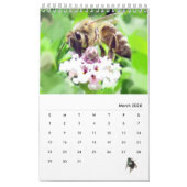 Agenda - Insecten met vliegen Kalender (Mar 2026)