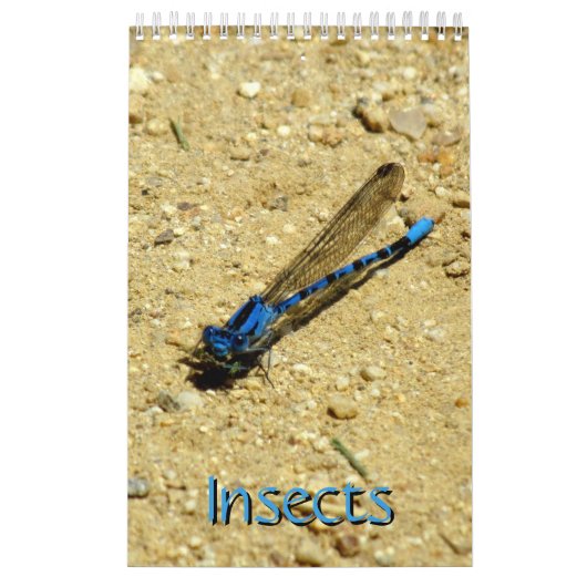 Agenda - Insecten met vliegen Kalender (Hoes)