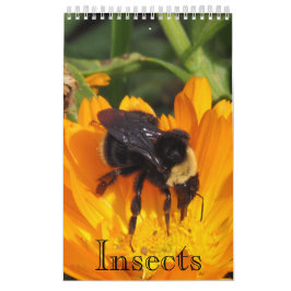 Agenda - Insecten (sgl. pg.) Kalender