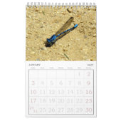 Agenda - Insects vol.2 Kalender (Jan 2027)