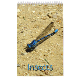 Agenda - Insects vol.2 Kalender