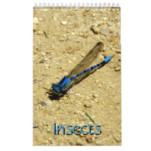 Agenda - Insects vol.2 Kalender