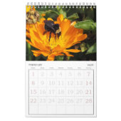 Agenda - Insects vol.2 Kalender (Feb 2026)