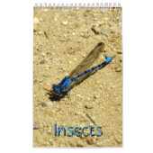 Agenda - Insects vol.2 Kalender (Hoes)