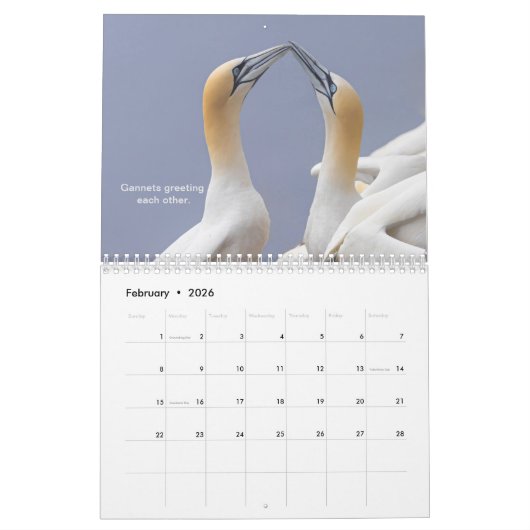 Agenda Kalender (Feb 2026)