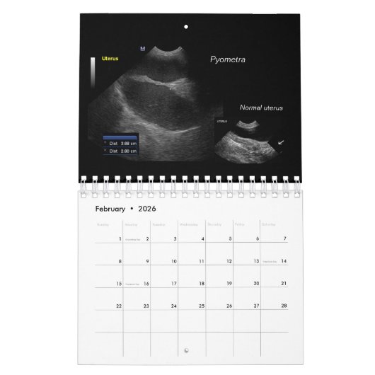 Agenda Kalender (Feb 2026)