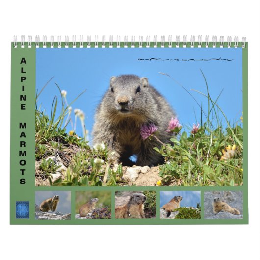 Agenda Kalender (Hoes)