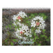 Agenda Kalender (Hoes)