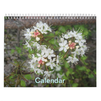 Agenda Kalender
