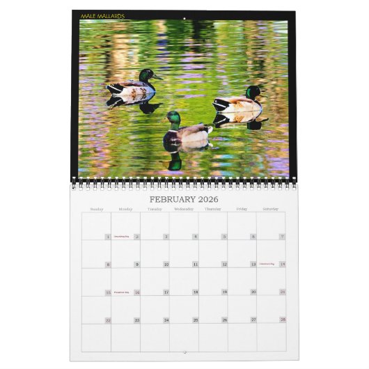 Agenda Kalender (Feb 2026)