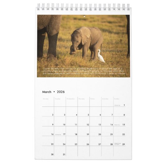 Agenda Kalender (Mar 2026)