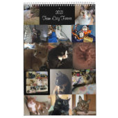 Agenda Kalender (Hoes)