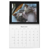 Agenda Kalender (Mar 2027)