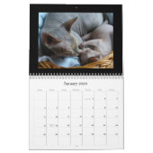 Agenda Kalender (Jan 2026)